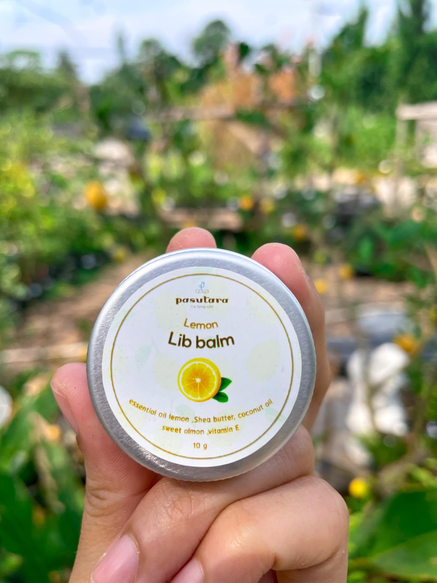 ลิปบาล์มเลมอน Lemon Lip Balm 10 g